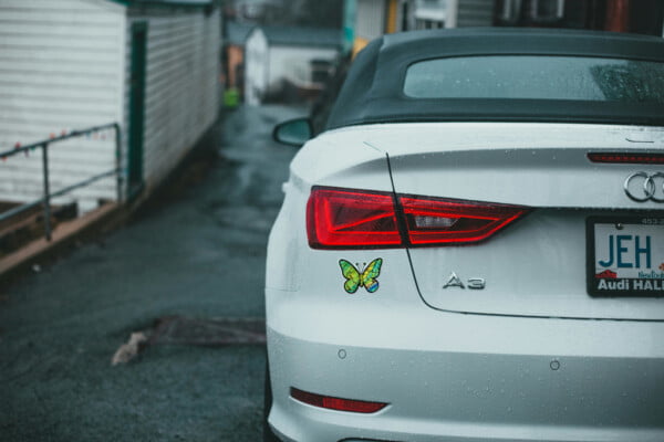 green butterfly sticker on a car bumper